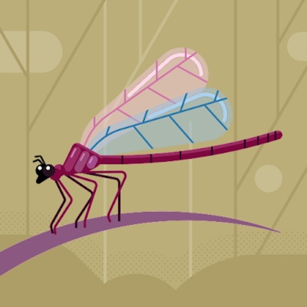 Meet your Posher, Kia